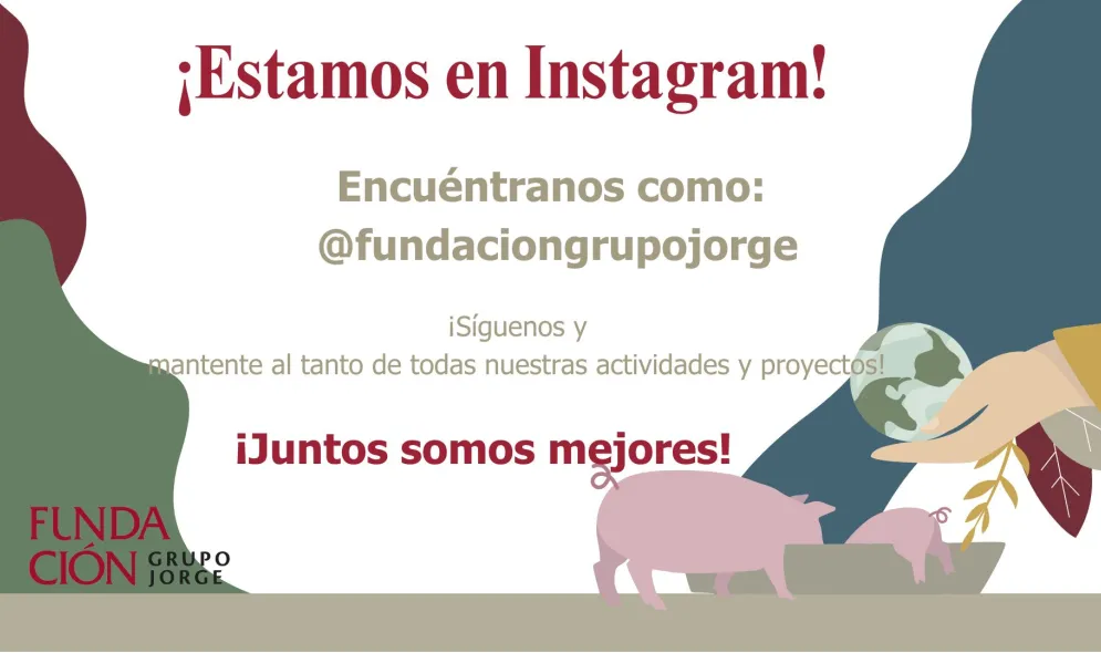 Estamos en Instagram