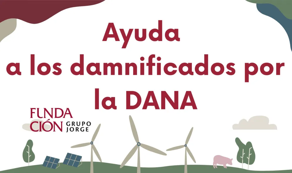 Ayuda a los damnificados por la DANA | Fundación Grupo Jorge